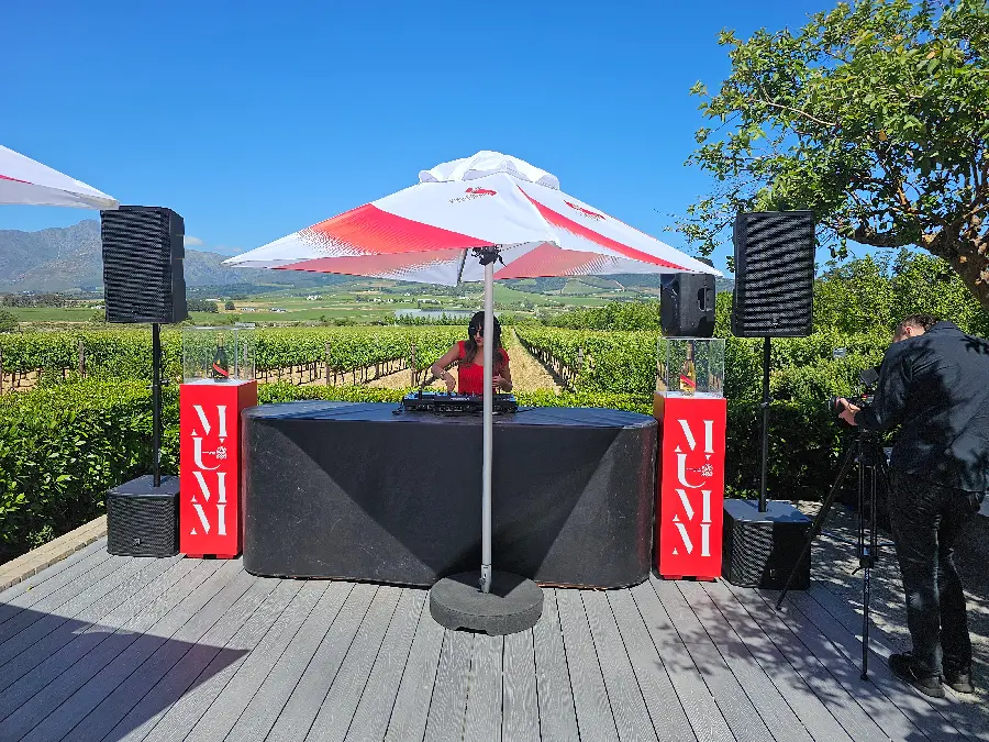 Vineyard event audio setup with scenic wine country backdrop